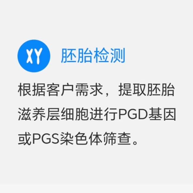胚胎检测